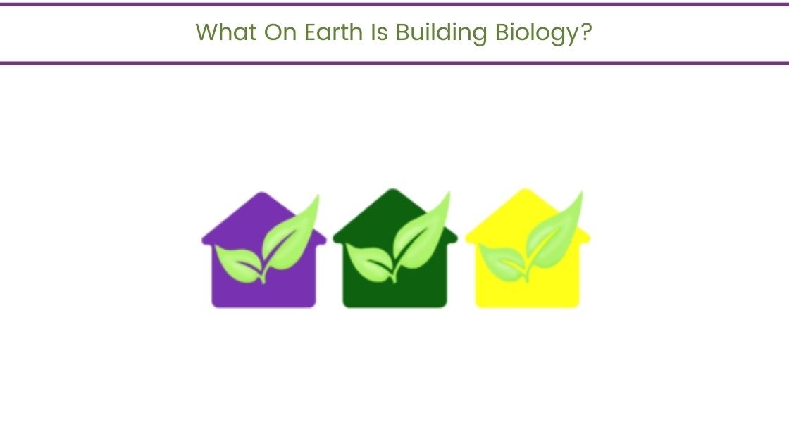 Building Biology? What is it?