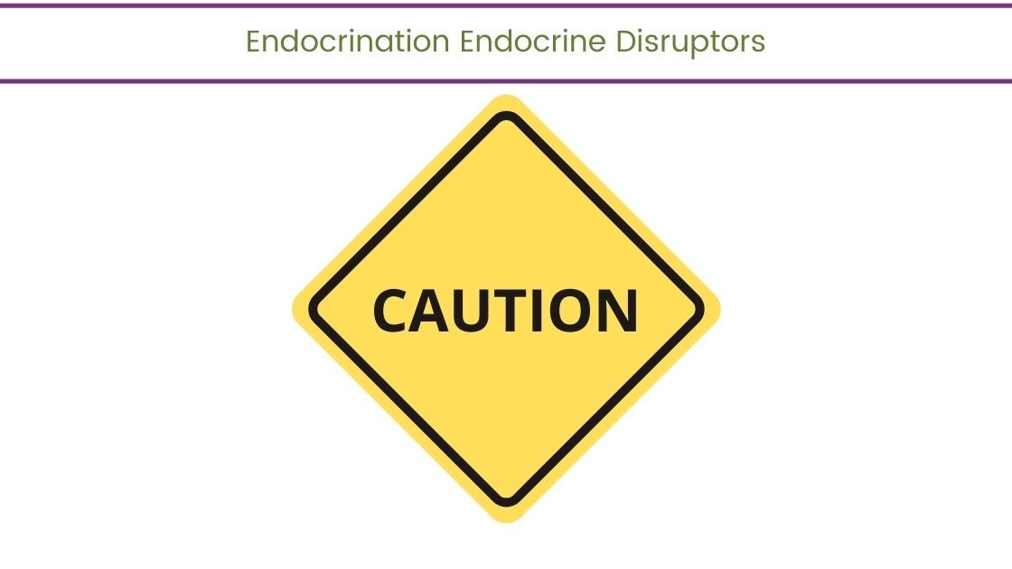Endocrine Disruptors – Endocrination