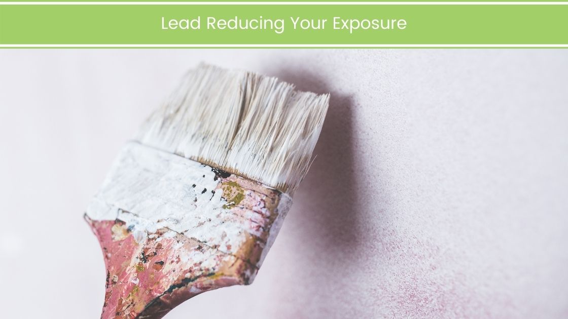 Lead Reducing Your Exposure