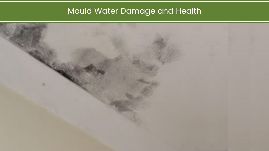 Mould Water Damage and Health
