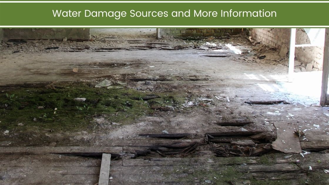 Water Damage Sources and More Information