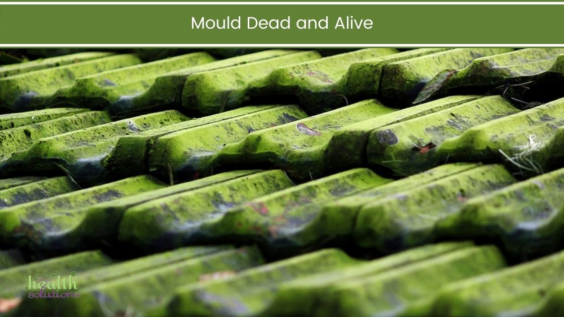 Mould Dead and Alive