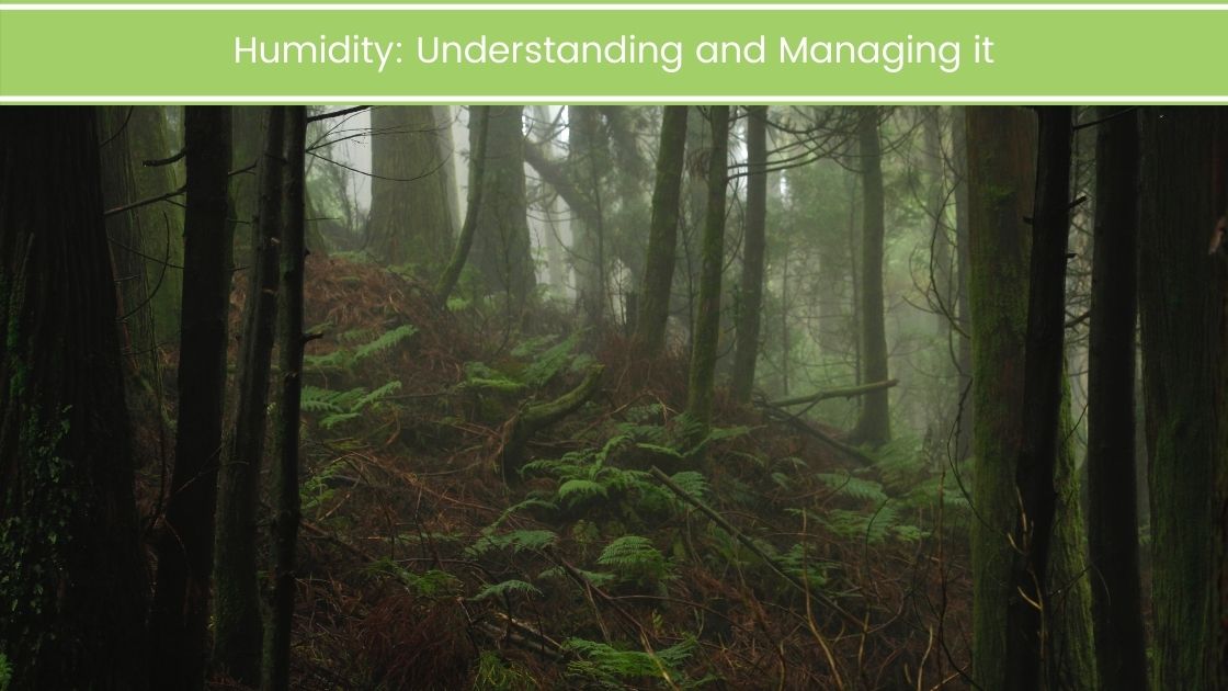 Humidity – Understanding and Managing it