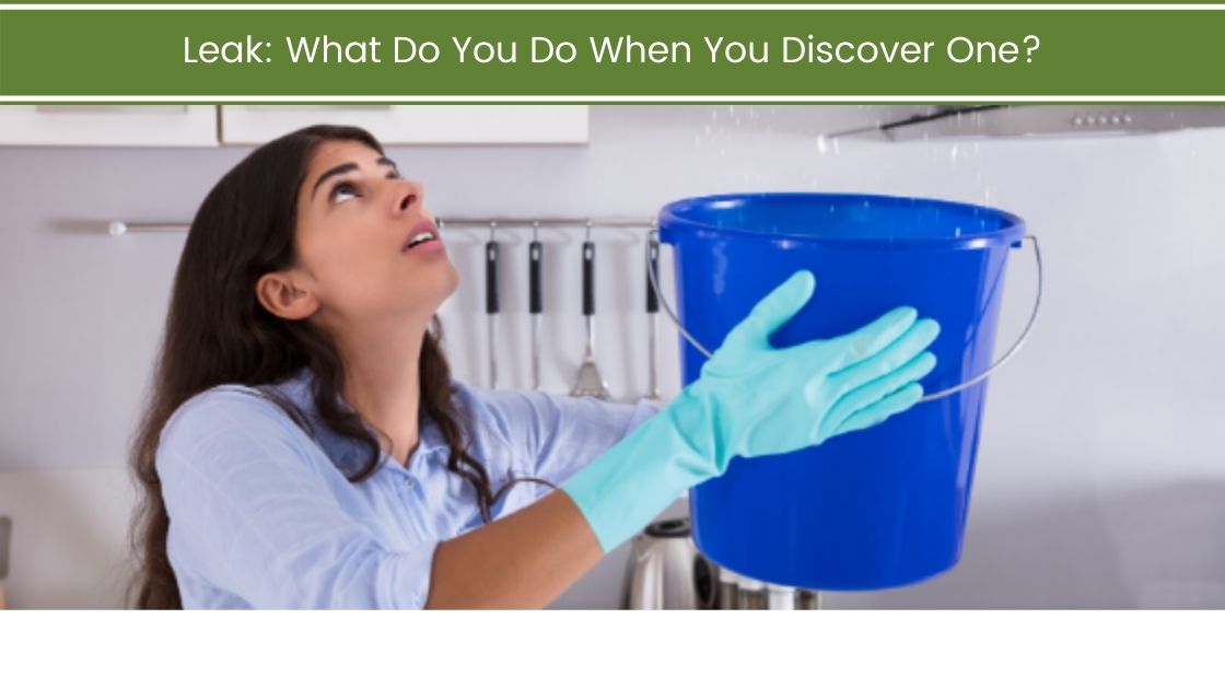 Leak: What Do You Do When You Discover One?
