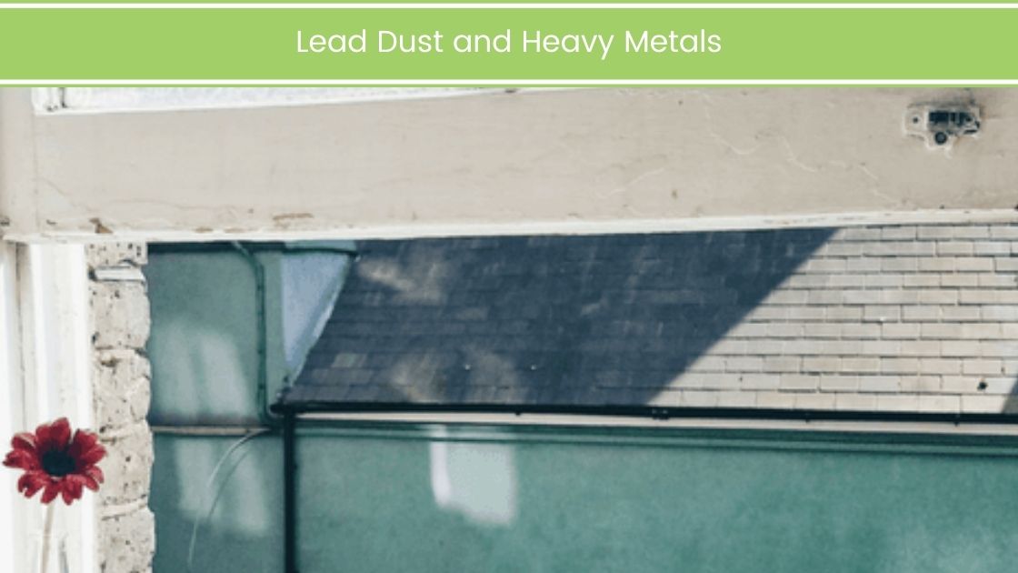 Dust and Heavy Metals
