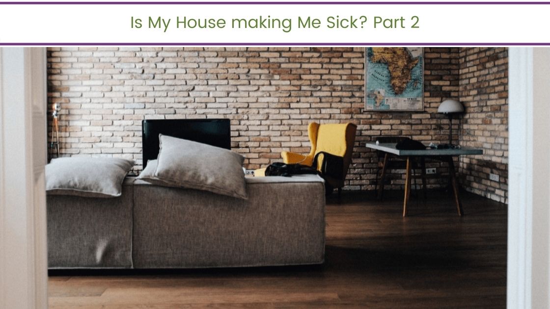 Is My House Making Me Sick? Pt2