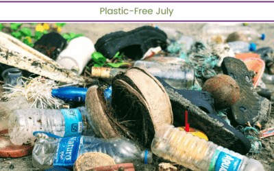 Plastic-Free July (and every month)