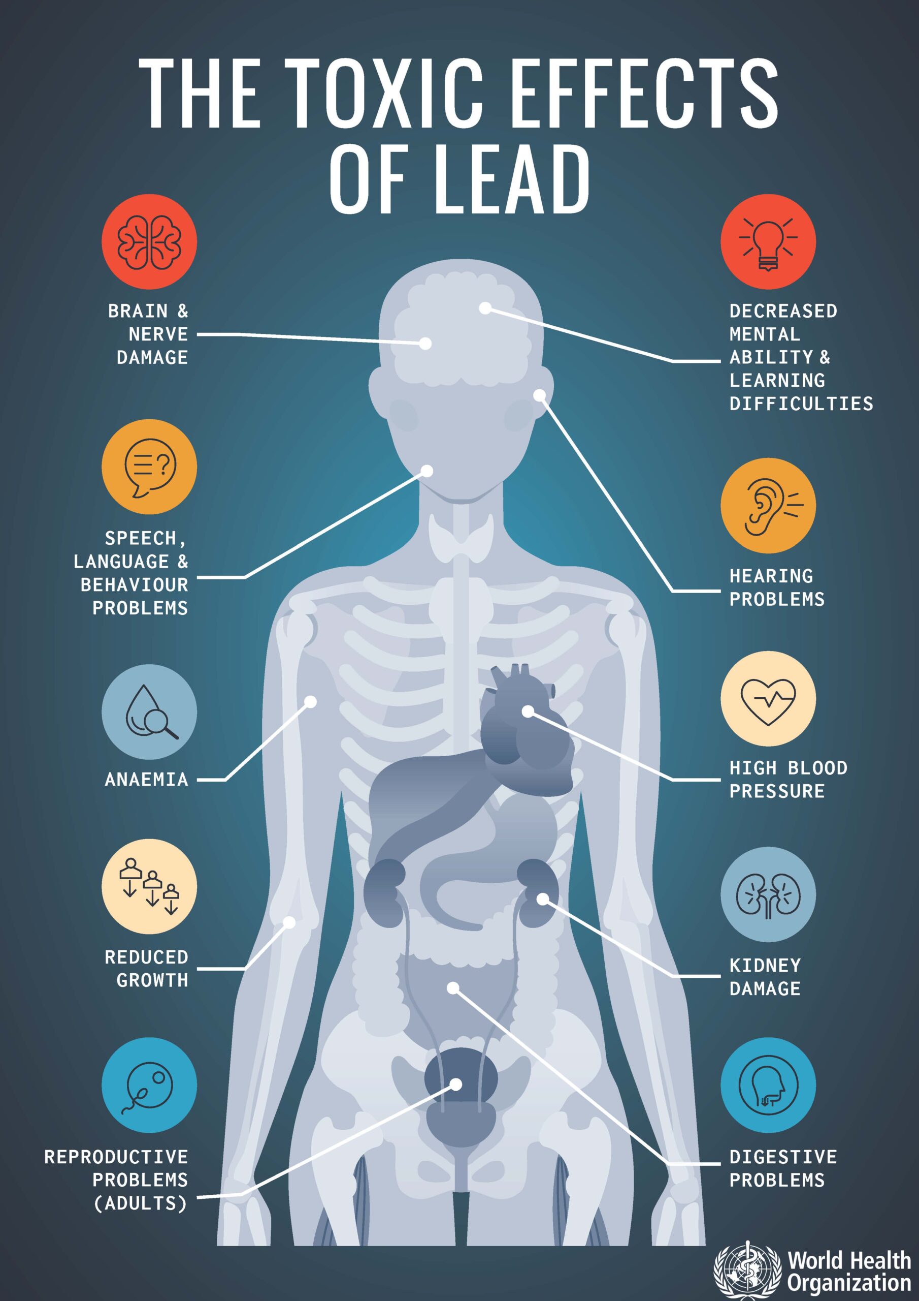 lead levels the toxic effects