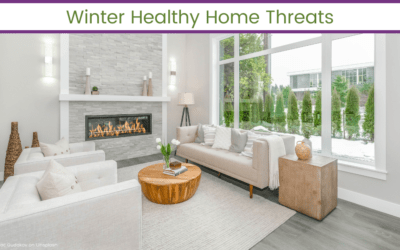 Winter Healthy Home Threats