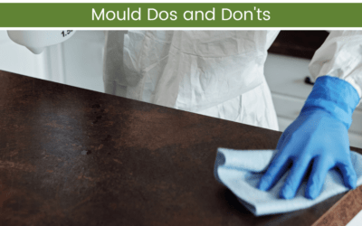 Mould: Dos and Don'ts