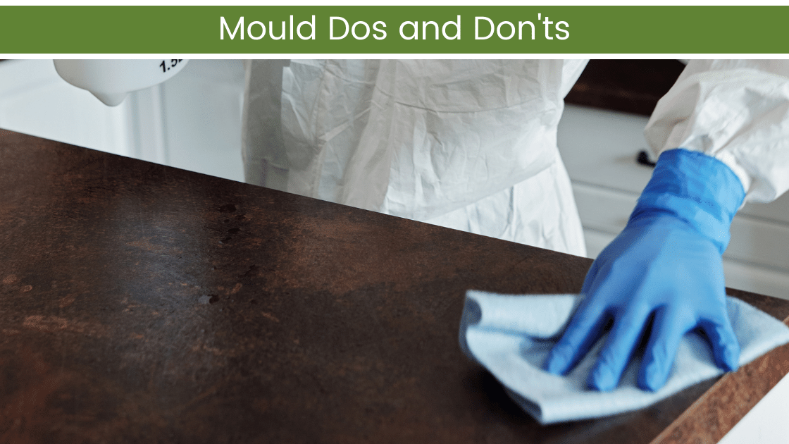 Mould Dos and Don'ts - Eco Health Solutions