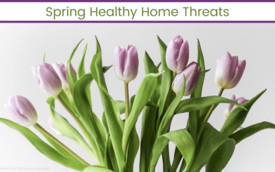 Spring Healthy Home Threats