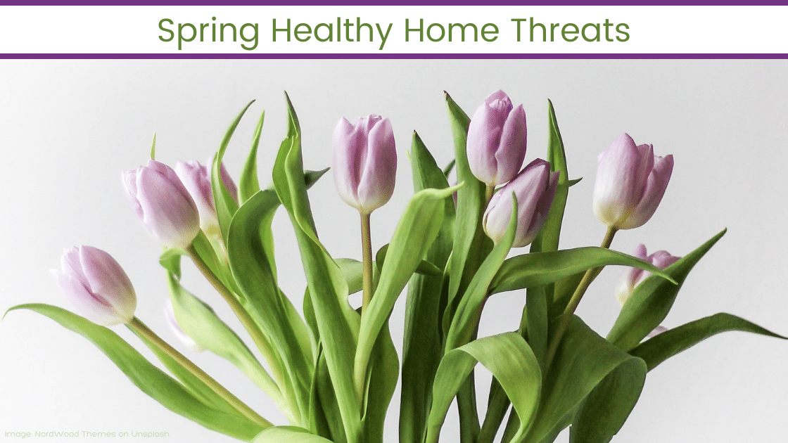 spring healthy home threats