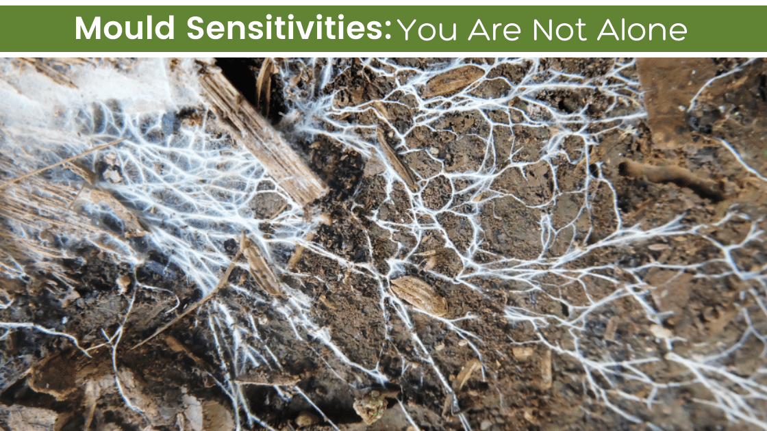 mould sensitivities - you are not alone - Eco Health Solutions
