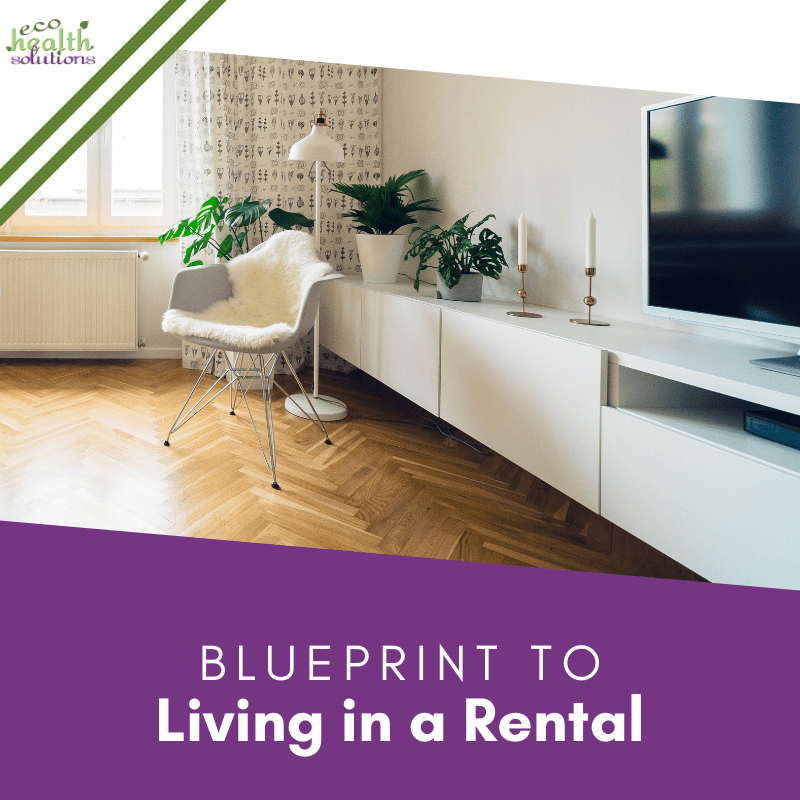 Blueprint to Living in a Rental