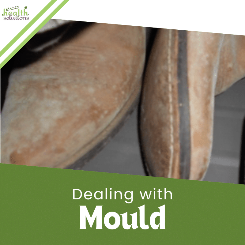 Dealing With Mould