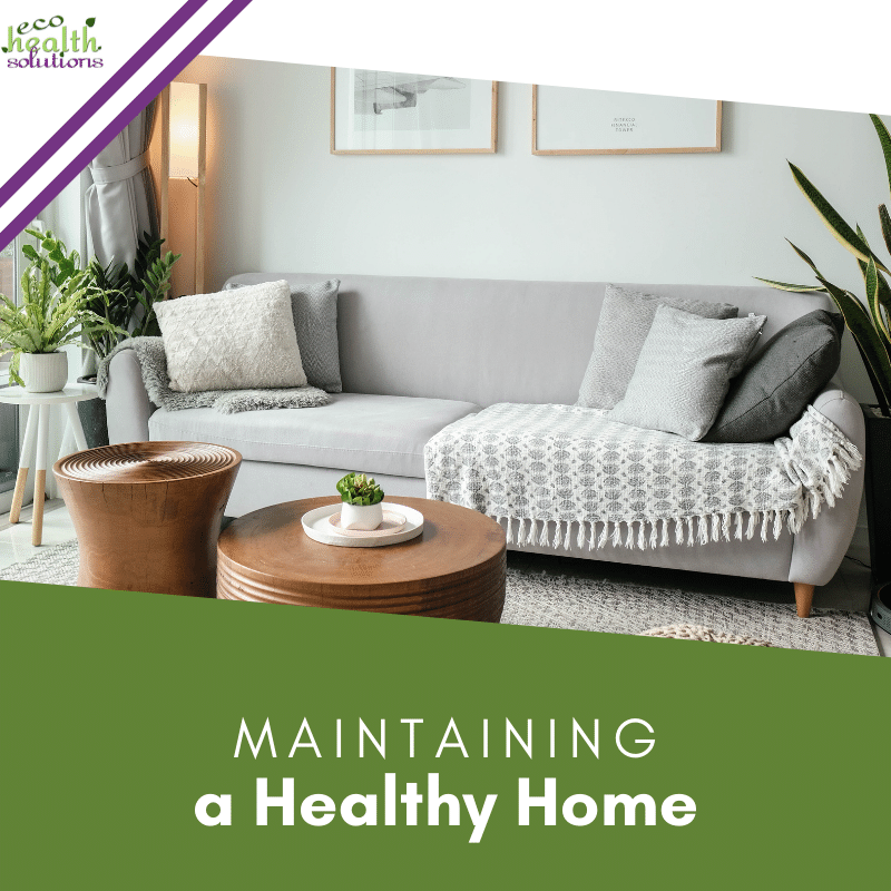 Maintaining a Healthy Home - eco health solutions courses