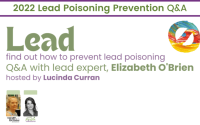 2022 Lead Poisoning Prevention with Elizabeth O'Brien