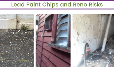 Paint Chips and Reno Risks
