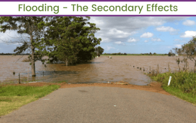 Flooding – The Secondary Effects