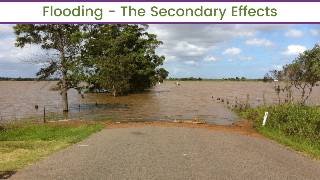 Flooding-The-Secondary-Effects-Eco-Health-Solutions