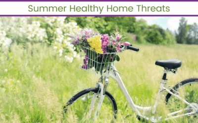 Summer Healthy Home Threats