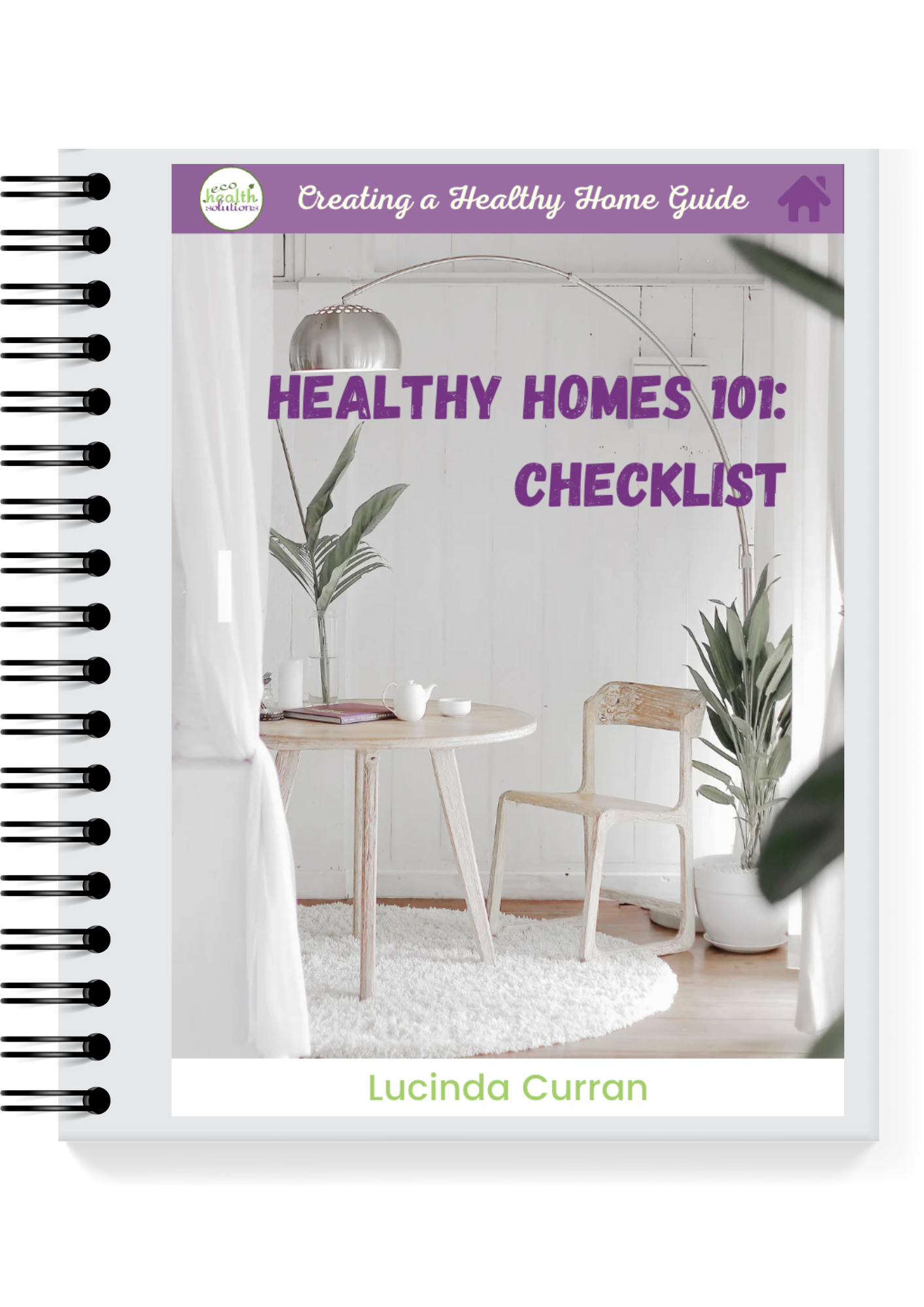 Healthy Homes 101 Checklist © Eco Health Solutions
