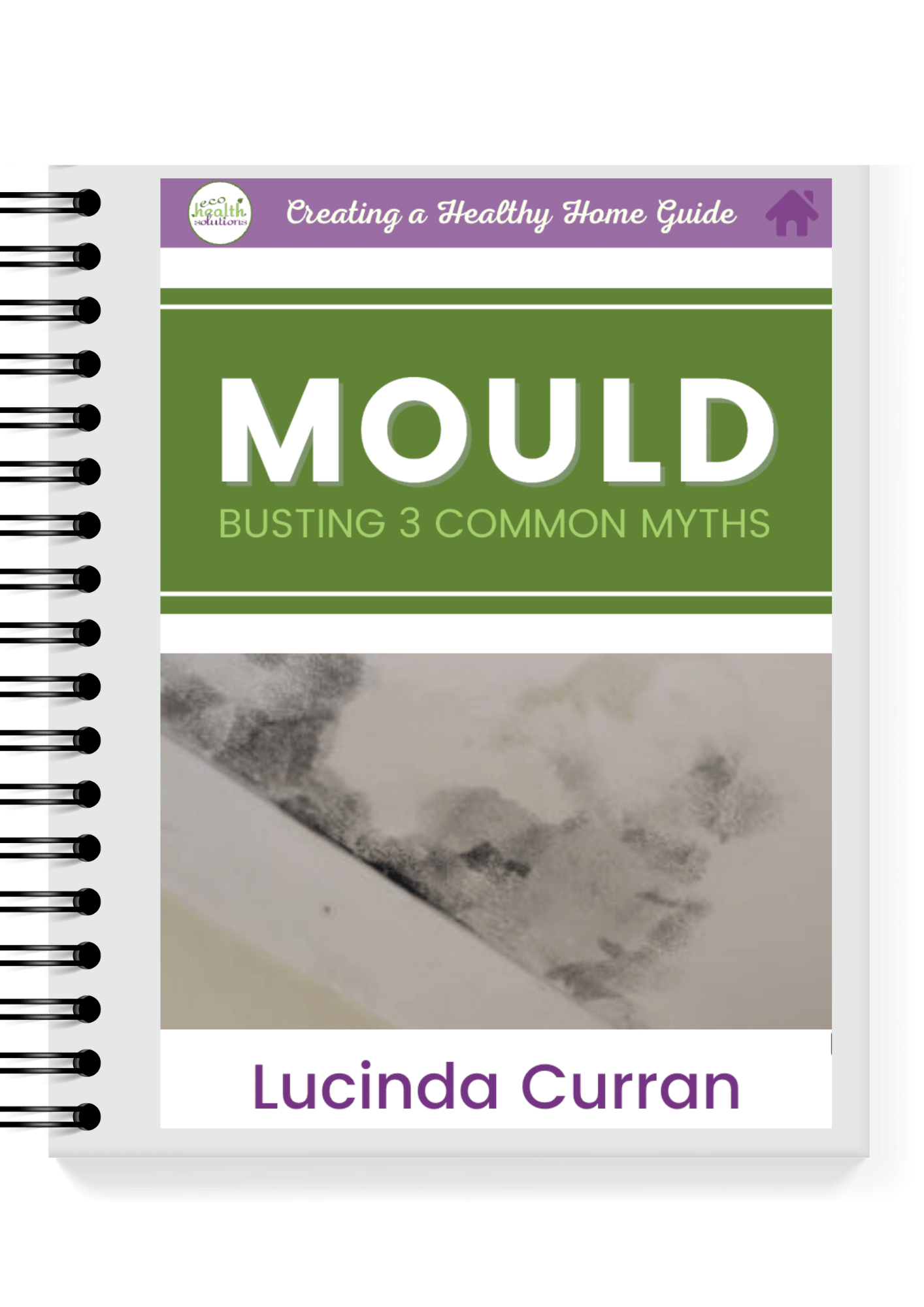 Mould Busting 3 Common Myths cover