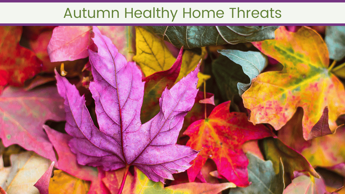 autumn healthy home threats; autumn leaves