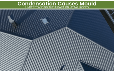 Condensation Causes Mould: Understanding the Impact on Metal Roofs